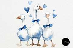 Vintage Thrifted Grandma Geese PNG Product Image 1