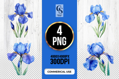 Blue Iris Flower Clipart PNG Product Image 1
