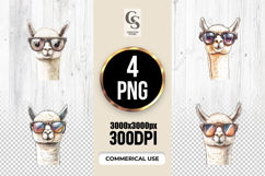 Cute Llama Clipart PNG Product Image 1