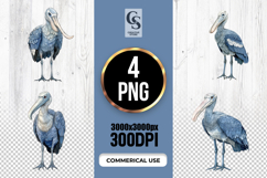 Watercolor Shoebill Stork Illustration Clipart PNG Product Image 1