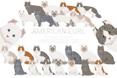 American Curl Cat clipart Product Image 1