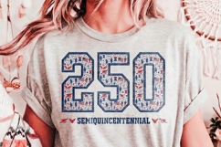 USA Semiquincentennial PNG, 250th Anniversary Product Image 4