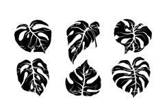Set of silhouettes of tropical leaves. Product Image 1
