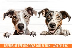 Breeds Of Peeking Dogs Collection Product Image 1