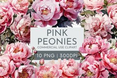 10 Pink Peonies Clipart PNG Product Image 1
