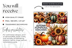 Sunflower Pumpkin Clipart, Autumn,Fall Clipart,Thanksgiving Product Image 2