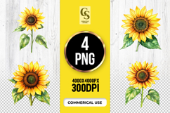 Sunflower Botanical Clipart Sublimation PNG Product Image 1