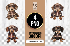 Dachshund Puppy Watercolor Illustration Clipart PNG Product Image 1