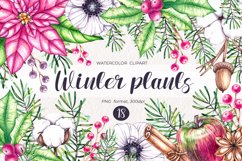 Watercolor Winter plants clipart PNG Product Image 1