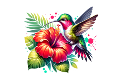 Cute Humming Bird Clipart - PNG File Product Image 1