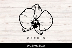 Orchid Flower SVG Product Image 1