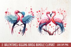 Breeds of Valentine Kissing Birds, Valentine's Day Clipart Product Image 1