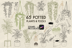 Potted Plants Procreate stamps Product Image 1