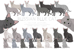 Russian Blue Cat Product Image 1