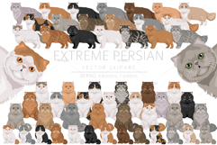 Persian cat. Extreme type Product Image 1