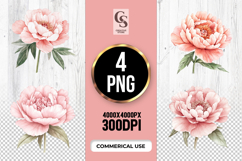 Blush Peony Flower Clipart Sublimation PNG Product Image 1