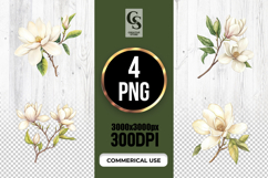 Watercolor Magnolia Flower Clipart PNG Product Image 1