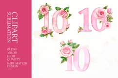 Floral numbers clipart sublimation Product Image 1