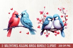 Breeds of Valentine Kissing Birds, Valentine's Day Clipart Product Image 1