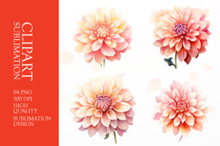 Watercolor floral clipart sublimation png Product Image 1