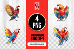Scarlet Macaw Clipart Sublimation PNG Product Image 1