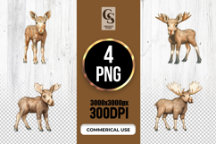 Watercolor Moose Calf Forest Animal Clipart Sublimation PNG Product Image 1