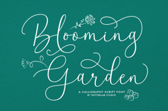 Timeless Beauty Font Bundle Product Image 2