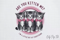 Vintage Funny Cat Quotes Sublimation, Vintage PNG Product Image 2