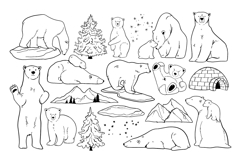 Polar Arctic Bear Clipart PNG SVG Product Image 3