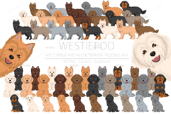 Westiepoo dog Product Image 1