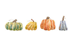 Watercolor Pumpkin Isolated White Background Product Image 2