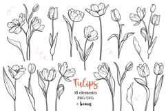 Tulip Line Art, Botanical Clipart SVG &amp; PNG Product Image 1