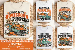 Homegrown Pumpkins Fall Harvest PNG, Vintage Pumpkin Patch S Product Image 1