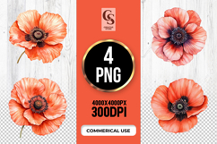 Red Poppy Flower Clipart PNG Product Image 1