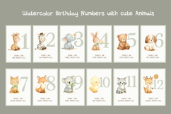 Watercolor Birthday Numbers with Animals, Bundle Product Image 1