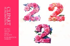 Floral numbers clipart sublimation Product Image 1