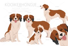 Kooikerhondje clipart Product Image 1