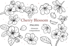 Cherry Blossom Clipart SVG PNG Product Image 1