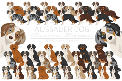 Aussalier dog Product Image 1
