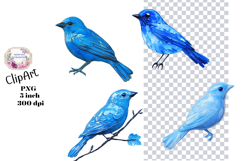 Birds, Blue, Enamel, Flowers, Ephemera, PNG, Clipart Product Image 1