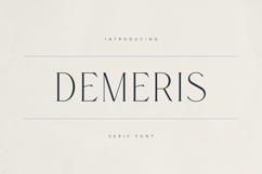 Demeris A Modern Serif Font Product Image 1