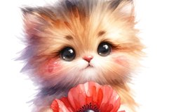 Cute Kitten Product Image 2