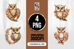 Floral Owl Monogram Letter O Clipart Sublimation PNG Product Image 1