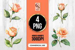 Peach Rose Flower Sublimation Clipart PNG Product Image 1