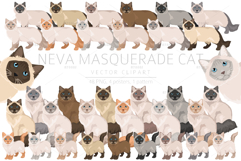 Neva Masquerade cat Product Image 1