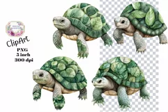 Turtles, Tropical, Ephemera, PNG, watercolor, Clipart Product Image 1