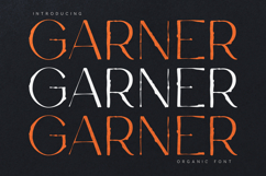Garner Organic Handmade Serif Font Product Image 1