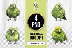 Green Parrot Watercolor Clipart Sublimation PNG Product Image 1