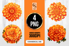 Orange Chrysanthemum Floral Clipart Sublimation PNG Product Image 1