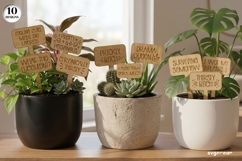 Wooden Plant Tags SVG Bundle | Glowforge | Laser Cut Product Image 1